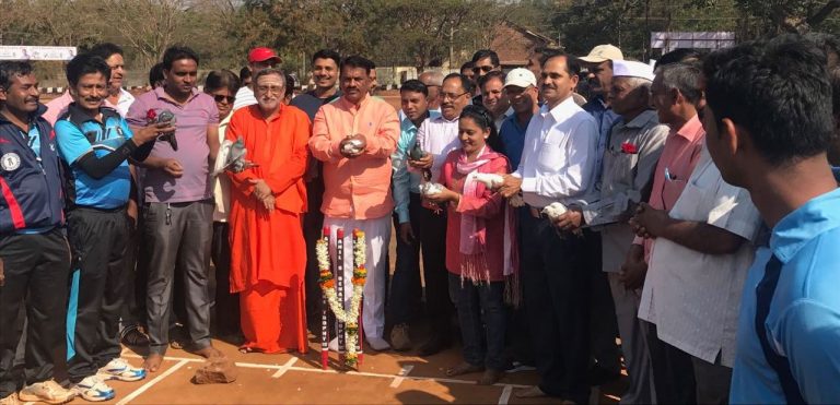 benake cricket tennis ball