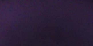 ‘समितीचे नेतृत्व तरुणांच्या हातात द्या’ Mes logo