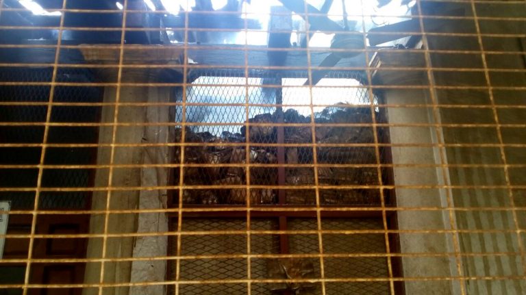 रद्दीच्या गोदामाला आग