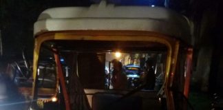 रिक्षा पलटी झाल्याने एक महिला ठार तर चार जखमी AUTo