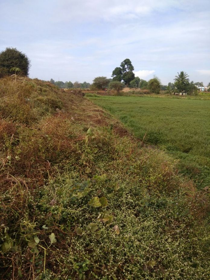 angol lake angol lake