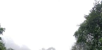 आंबोलीत वर्षा पर्यटना वेळी रहा सावध; होऊ शकतो दंड! Amboli