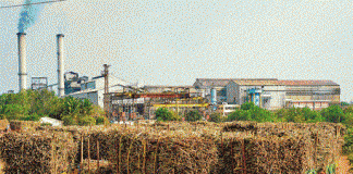 यंदाचा गळीत हंगाम 1 नोव्हें.पासून होणार प्रारंभ shugar factories