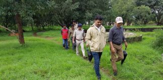 भुतरामहट्टी अभयारण्यात होणार टायगर सफारी Bhutramhatti