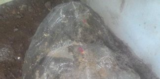 बेळगावातील भक्ताला गणपतीने दिला दृष्टांत Swayambhu