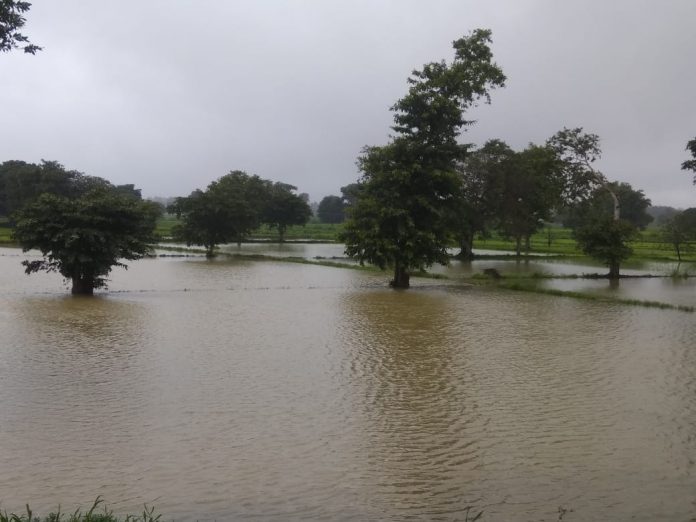 Bellari nala Bellari nala