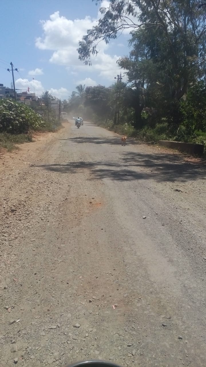 Road damage apmc