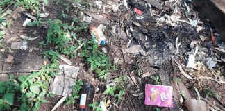 ‘उद्याने बनलीत गैरप्रकारांचा अड्डा’ Camp gardens