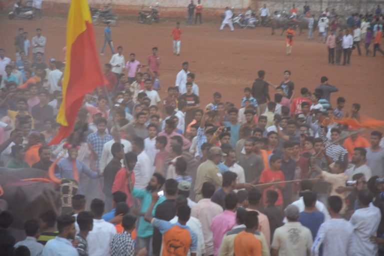 REd yellow vs saffron