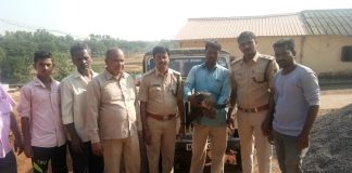 ‘त्यांची नजर पडली अन एक जीव वाचला’ Peacock