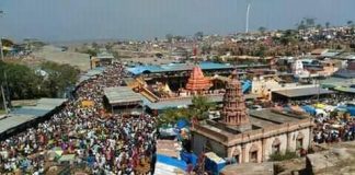 ‘लाखों भाविक यल्लम्मा डोंगरावर’ Renuka devi yatra