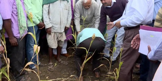 Farmer rv deshpande