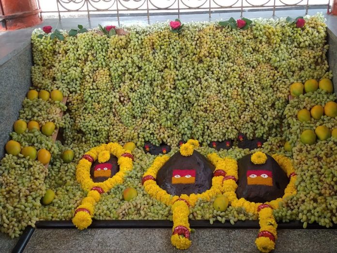 Grapes alter Grapes alter