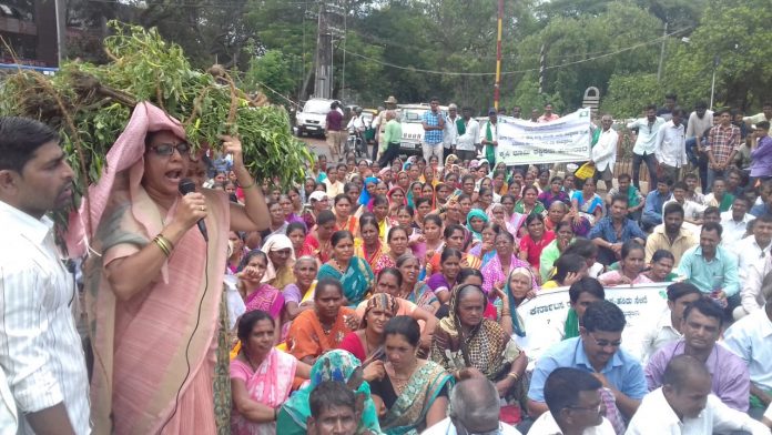 Halga farmers Halga farmers