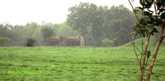 जूनअखेर जिल्ह्यात सर्वत्र सरासरीपेक्षा जास्त पाऊस rainbgm