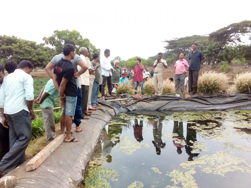 Farmer death near kinaye