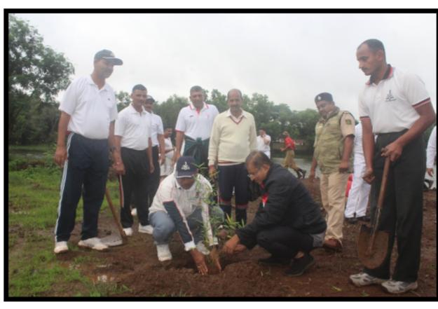 मराठा जवानांचे वृक्षारोपण