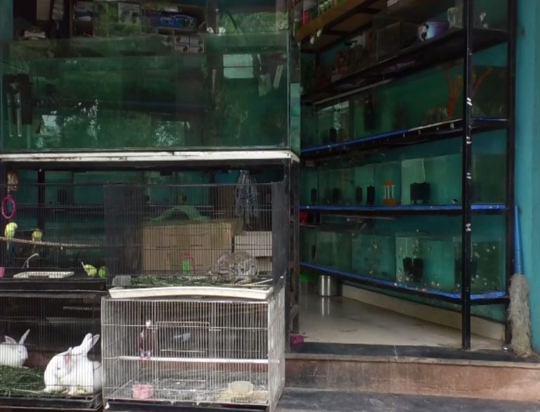 बेळगावात आता कुत्र्यामांजराचीही चोरी