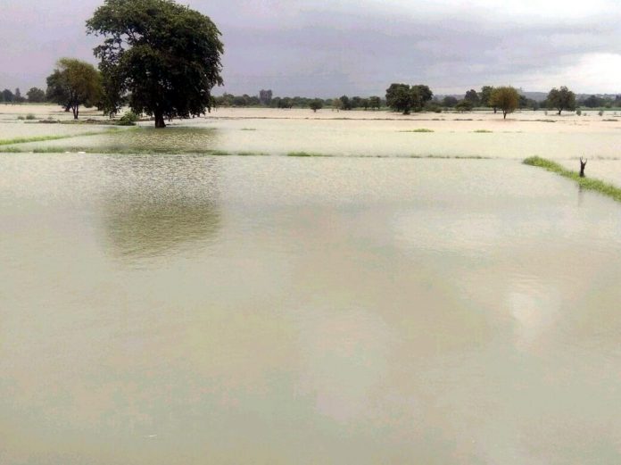 Bellari nala flood Flood bellari nala