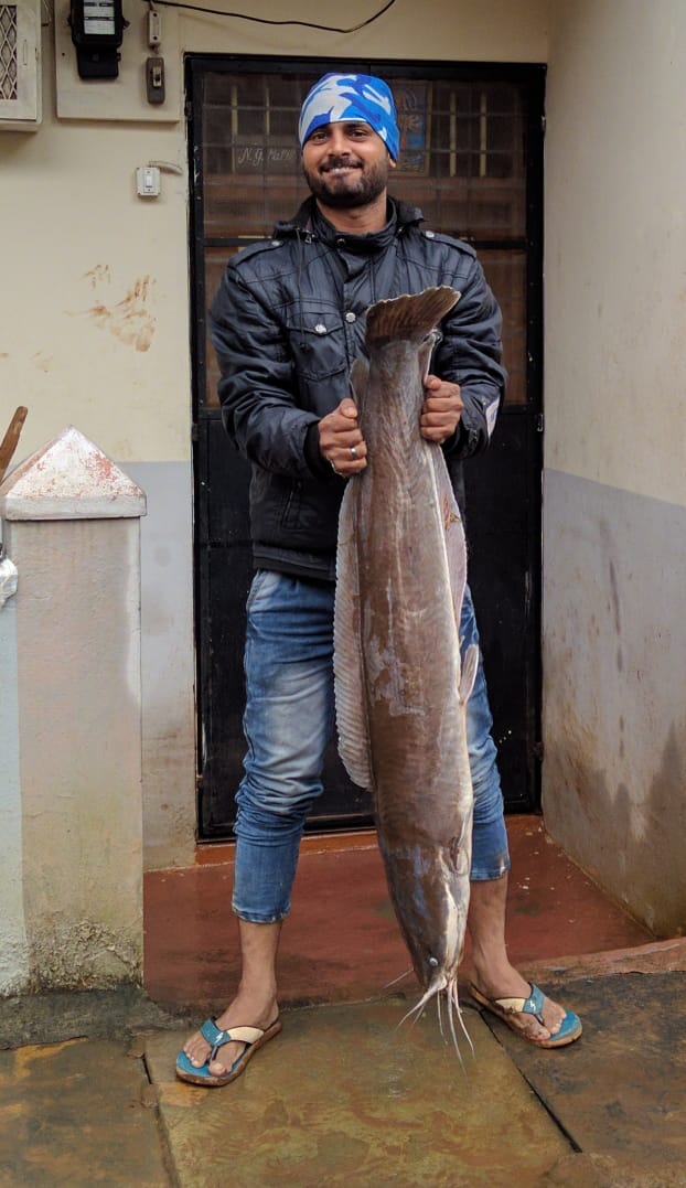 Fish got shastri ngr