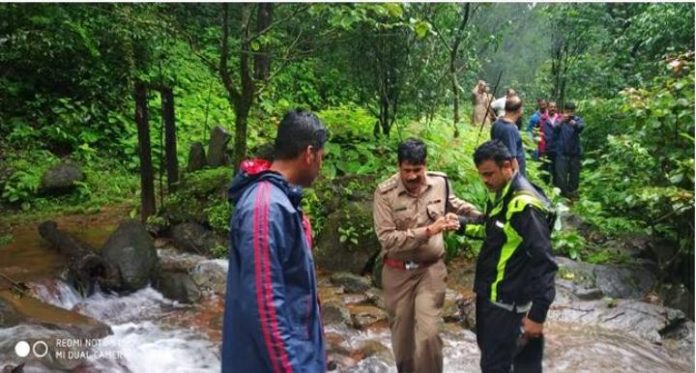 Forest marihal Forest marihal