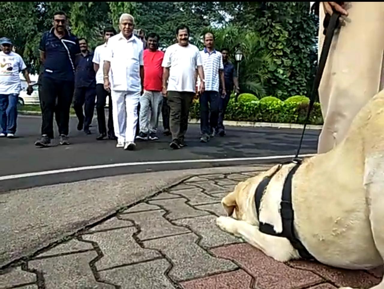 Dog salute cm