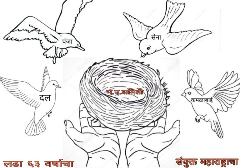 Mes black day special