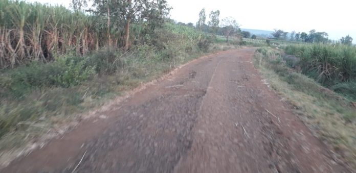 Roads maharashtra border