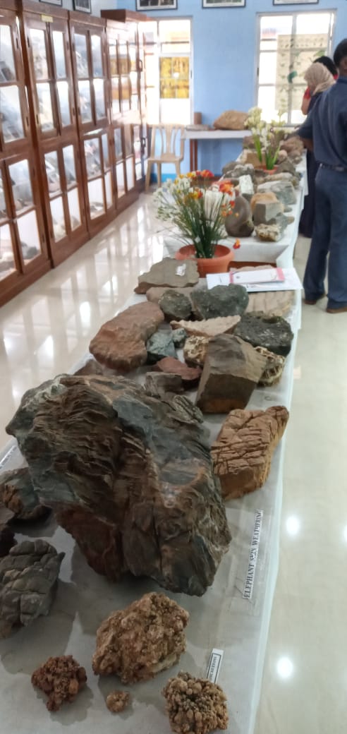 जीएसएसचे अनोखे समृद्ध भूशास्त्रीय संग्रहालय