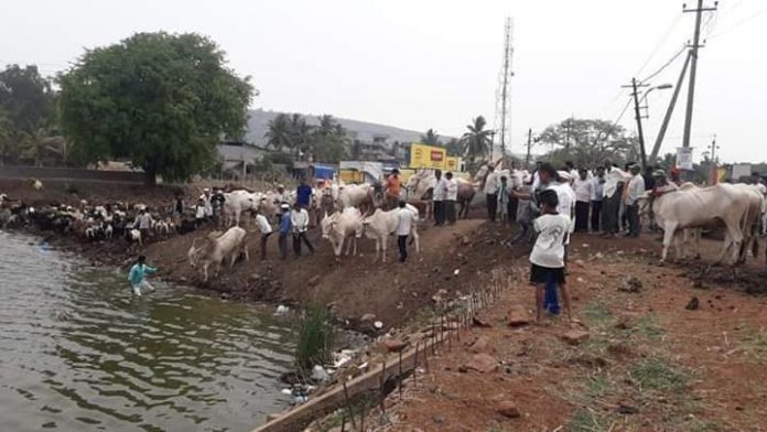 Kanbargi farmers happy