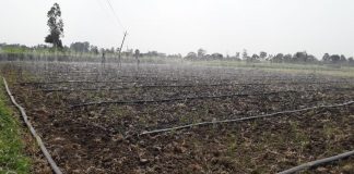 रेन हार्वेस्टिंगचा प्रयोग शेतीमध्ये घेतोय भरारी Rain harvesting