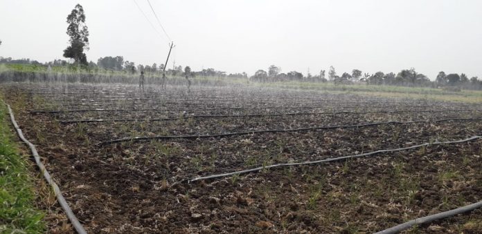 Rain harvesting Rain harvesting