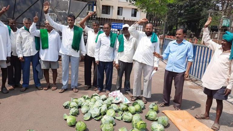 योग्य दरासाठी शेतकऱ्यांची कोबी रस्त्यावर फेकून निदर्शने