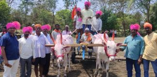 धामणे शर्यतीत श्री चव्हाटा प्रसन्न, कुप्पटगिरी अजिंक्य! Dhamne