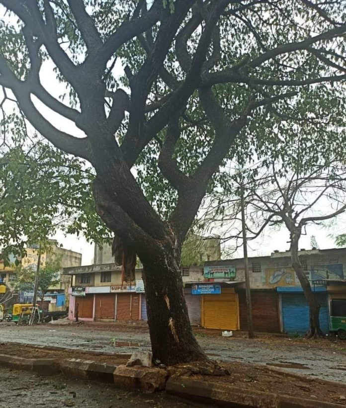 Tree cut demand Tree cut demand