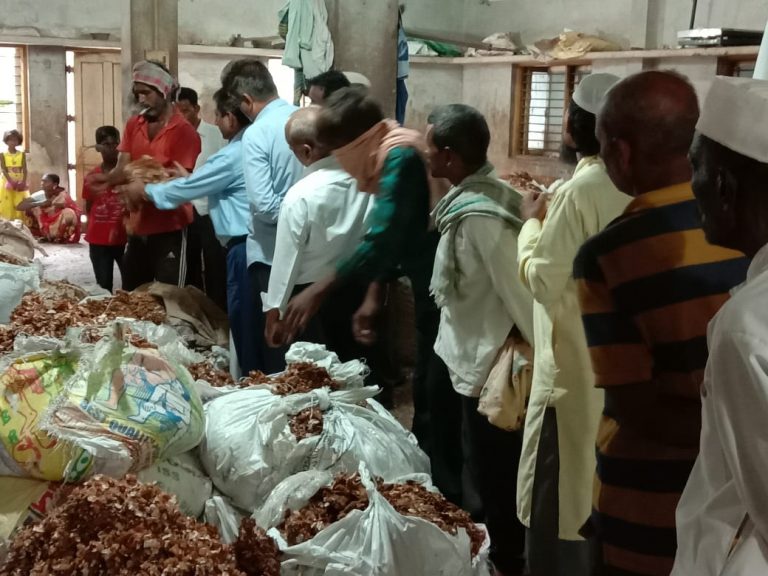 Chinch market file pic