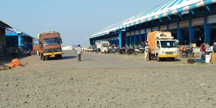 Apmc belgaum monday 30 march pic Apmc belgaum monday 30 march pic