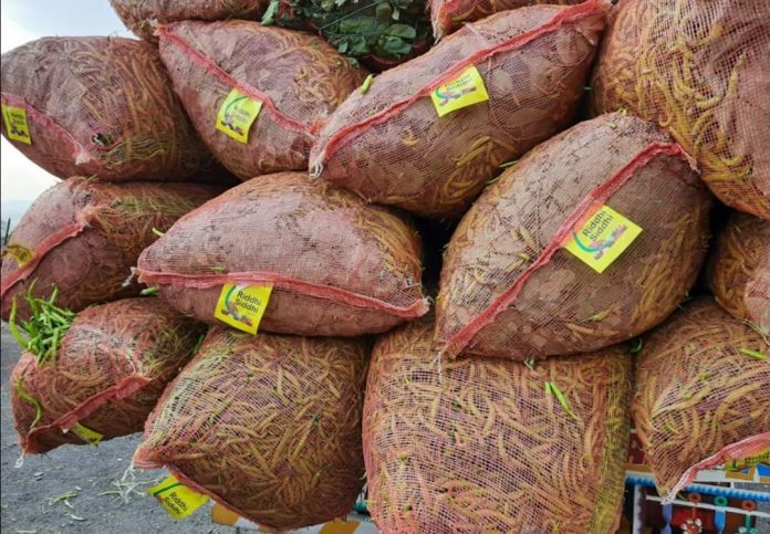 Mirchi chilly Mirchi chilly