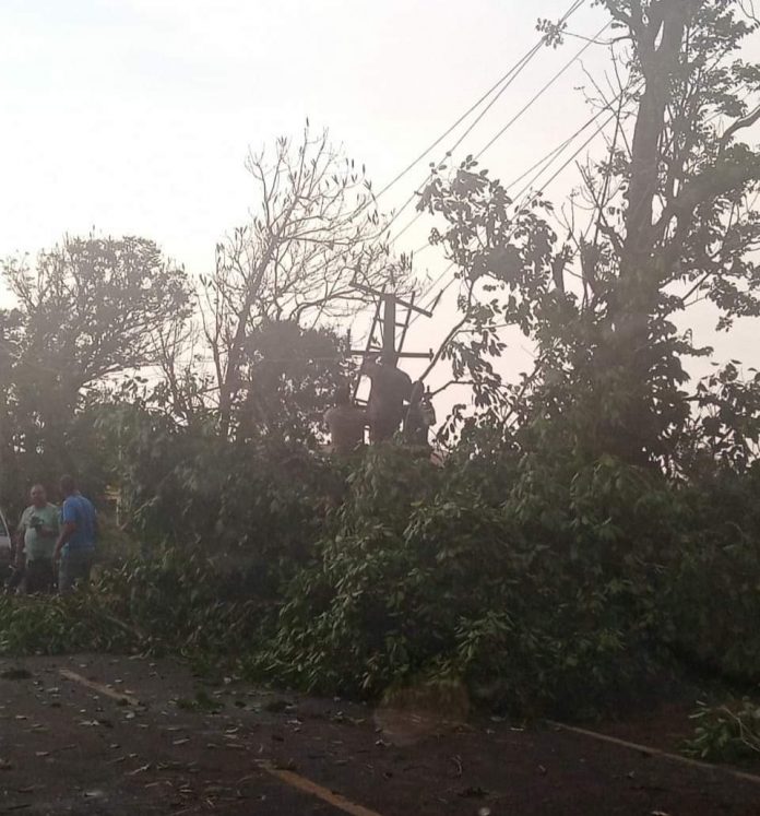 FB_IMG_1586528430508