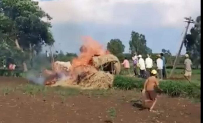 Grass burn Grass burn