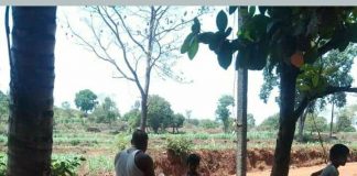 लाॅक डाऊनमुळे ग्रामीण भागात असे सुरू आहे केस कटिंग Hair cutting rural area during lock down