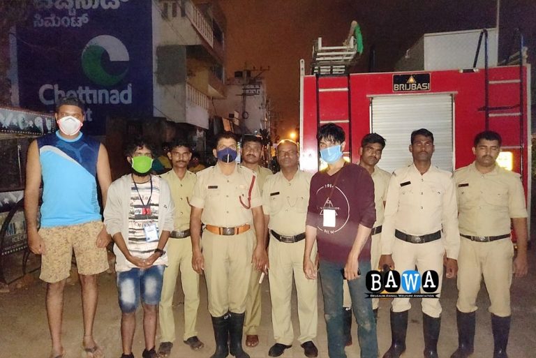 बावा आणि अग्निशामक दलामुळे कुत्र्याच्या पिल्लाला मिळाले जीवदान