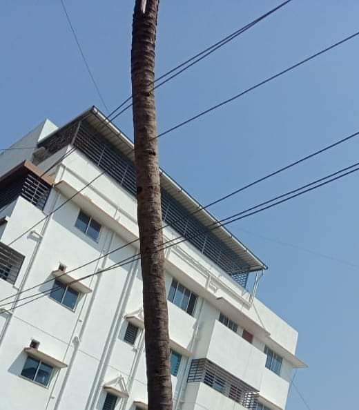 FB_IMG_1590476552984