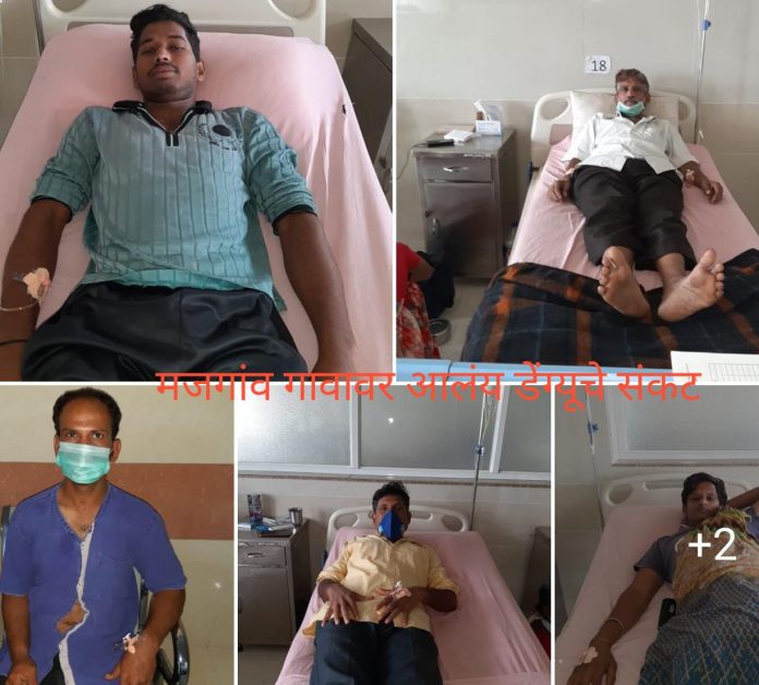 Majgaon dengue Majgaon dengue