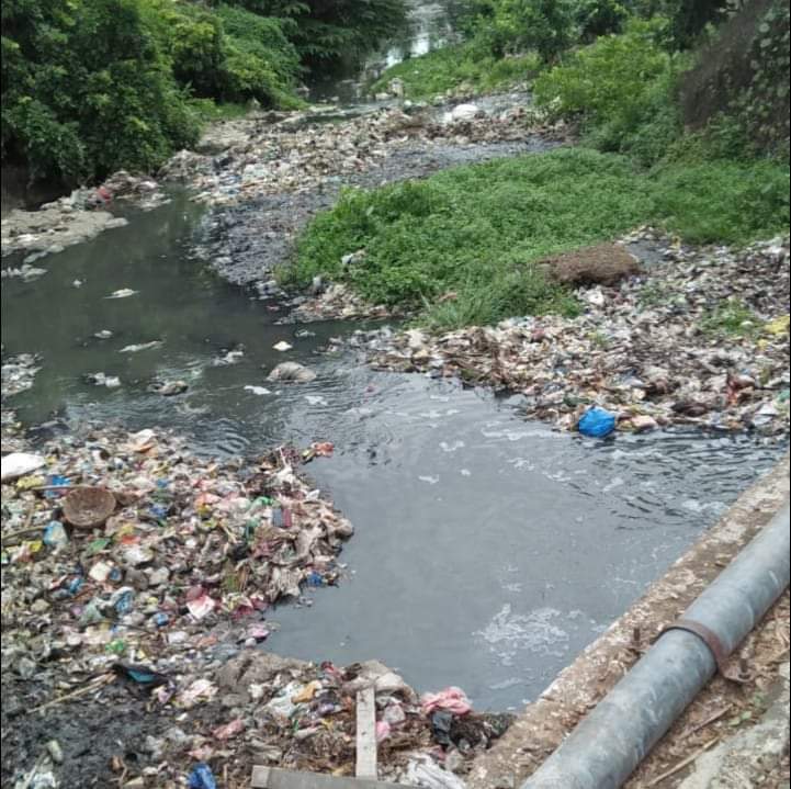 Nala water pollution