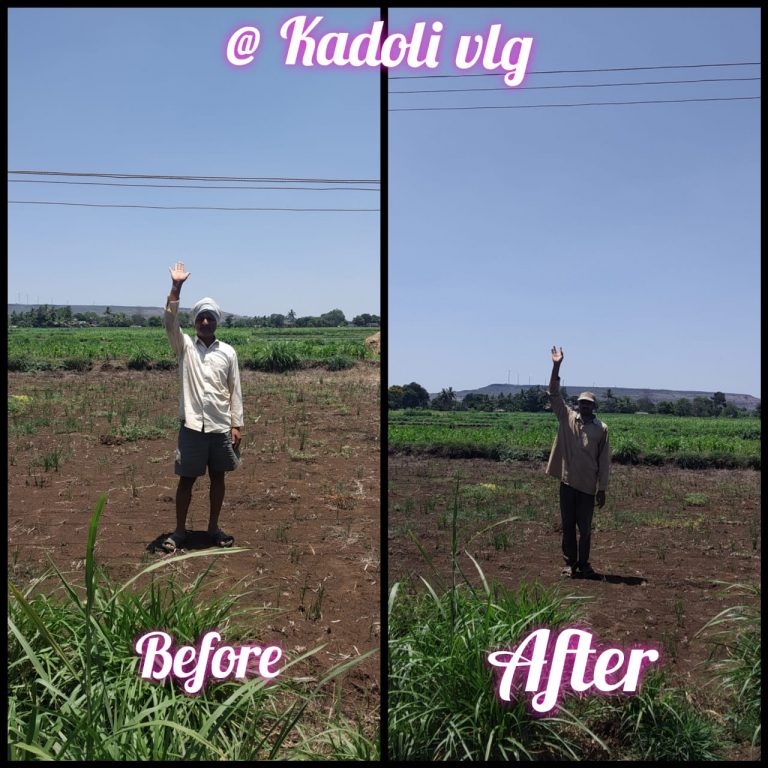 Kadoli electric poll