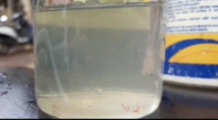 Worms containing water