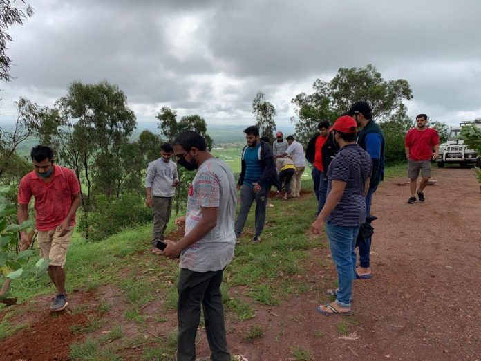 Tree plantation Tree plantation