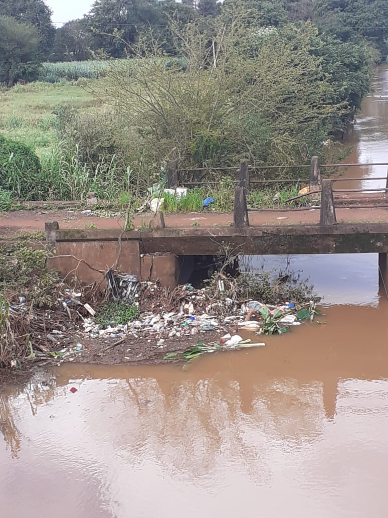 Pollution markandey river