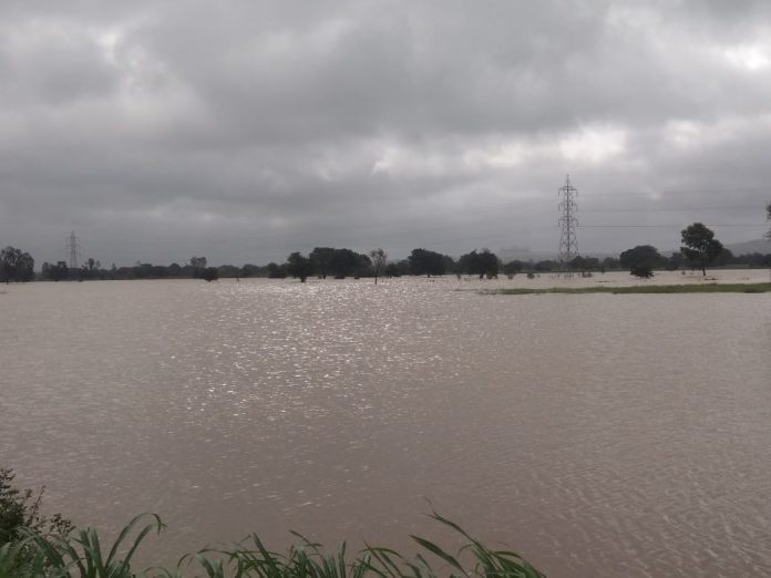 flood bellari nala